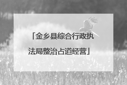 金乡县综合行政执法局整治占道经营