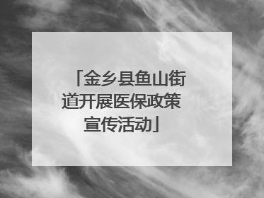金乡县鱼山街道开展医保政策宣传活动