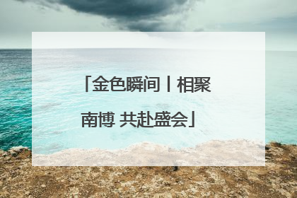 金色瞬间丨相聚南博 共赴盛会
