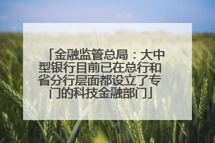 金融监管总局：大中型银行目前已在总行和省分行层面都设立了专门的科技金融部门