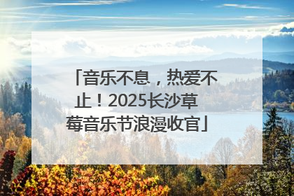 音乐不息，热爱不止！2025长沙草莓音乐节浪漫收官