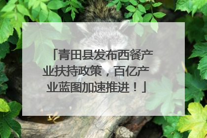 青田县发布西餐产业扶持政策，百亿产业蓝图加速推进！