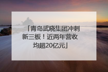 青岛武晓集团冲刺新三板！近两年营收均超20亿元