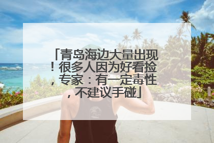 青岛海边大量出现！很多人因为好看捡，专家：有一定毒性，不建议手碰