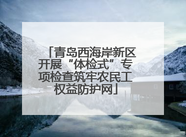 青岛西海岸新区开展“体检式”专项检查筑牢农民工权益防护网
