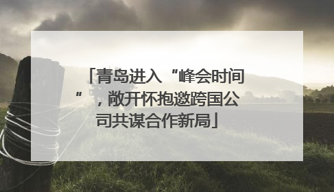 青岛进入“峰会时间”，敞开怀抱邀跨国公司共谋合作新局