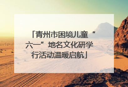 青州市困境儿童“六一”地名文化研学行活动温暖启航