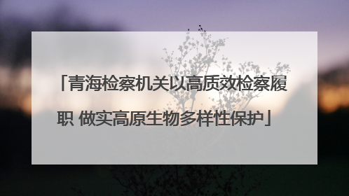 青海检察机关以高质效检察履职 做实高原生物多样性保护