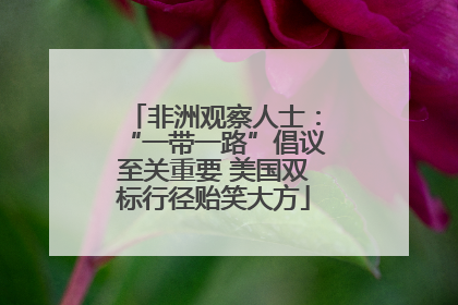 非洲观察人士：“一带一路”倡议至关重要 美国双标行径贻笑大方