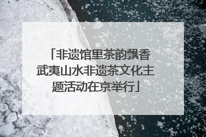 非遗馆里茶韵飘香 武夷山水非遗茶文化主题活动在京举行