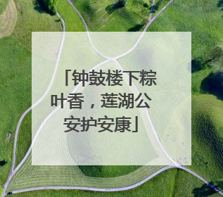 钟鼓楼下粽叶香，莲湖公安护安康