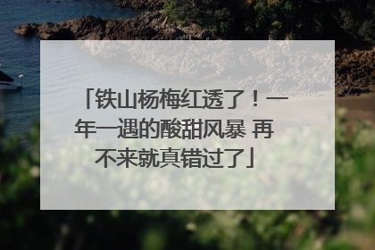 铁山杨梅红透了！一年一遇的酸甜风暴 再不来就真错过了