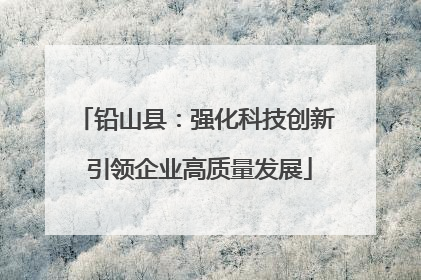 铅山县：强化科技创新 引领企业高质量发展