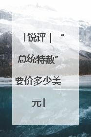 锐评｜“总统特赦”要价多少美元