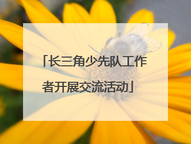 长三角少先队工作者开展交流活动