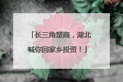 长三角楚商，湖北喊你回家乡投资！