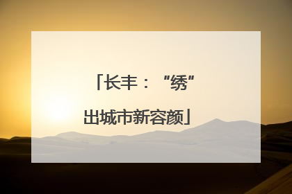 长丰：“绣”出城市新容颜