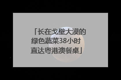 长在戈壁大漠的绿色蔬菜38小时直达粤港澳餐桌