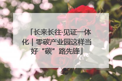 长来长往·见证一体化｜零碳产业园这样当好“碳”路先锋