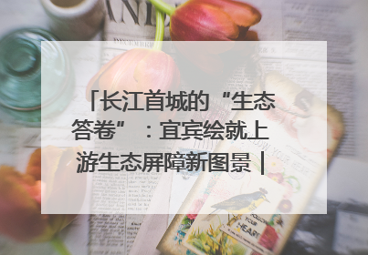 长江首城的“生态答卷”：宜宾绘就上游生态屏障新图景｜中华环保世纪行