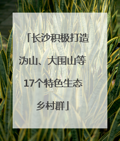 长沙积极打造沩山、大围山等17个特色生态乡村群