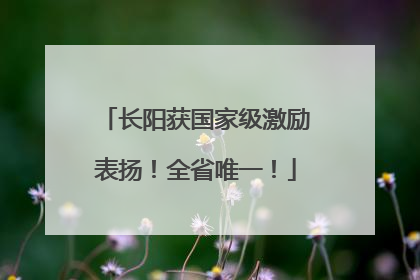 长阳获国家级激励表扬！全省唯一！