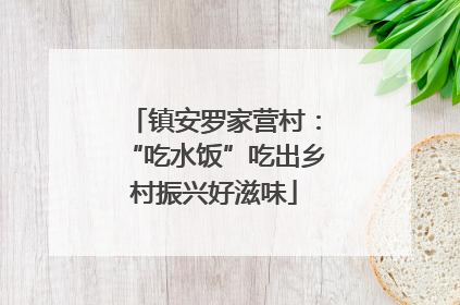 镇安罗家营村：“吃水饭”吃出乡村振兴好滋味