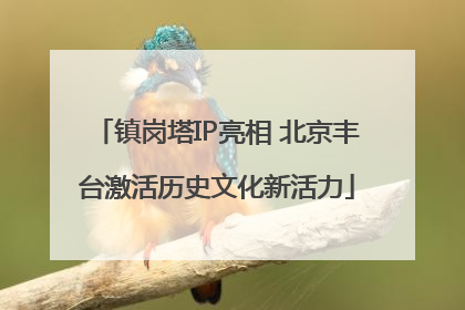 镇岗塔IP亮相 北京丰台激活历史文化新活力