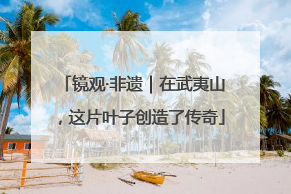 镜观·非遗｜在武夷山，这片叶子创造了传奇