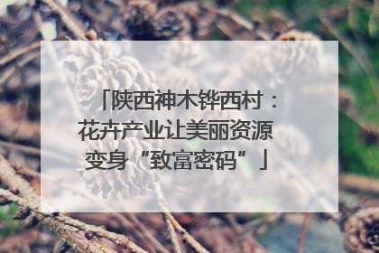 陕西神木铧西村：花卉产业让美丽资源变身“致富密码”