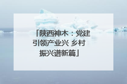 陕西神木：党建引领产业兴 乡村振兴谱新篇