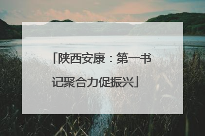 陕西安康：第一书记聚合力促振兴
