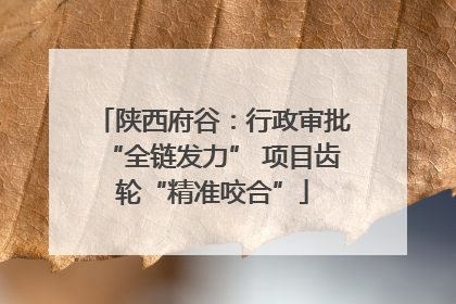 陕西府谷：行政审批“全链发力” 项目齿轮“精准咬合”