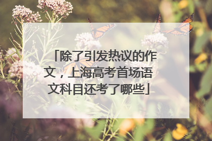 除了引发热议的作文，上海高考首场语文科目还考了哪些