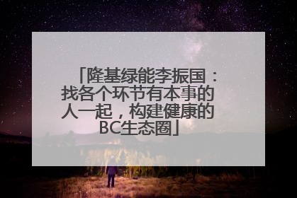 隆基绿能李振国：找各个环节有本事的人一起，构建健康的BC生态圈