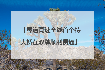 零道高速全线首个特大桥在双牌顺利贯通