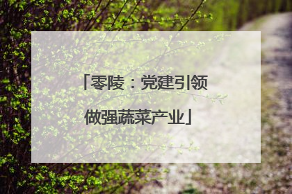 零陵：党建引领 做强蔬菜产业