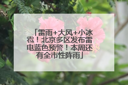 雷雨+大风+小冰雹！北京多区发布雷电蓝色预警！本周还有全市性阵雨
