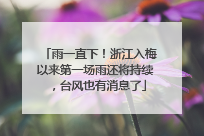 雨一直下！浙江入梅以来第一场雨还将持续，台风也有消息了