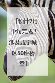 预计7月中旬完成！涉及咸宁城区50座桥梁