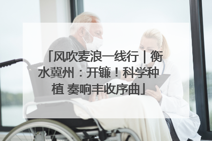 风吹麦浪一线行｜衡水冀州：开镰！科学种植 奏响丰收序曲