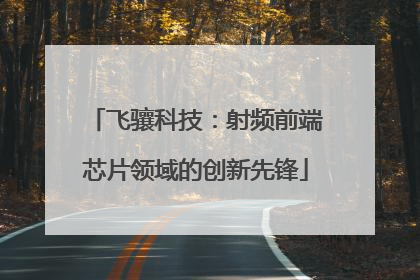 飞骧科技：射频前端芯片领域的创新先锋