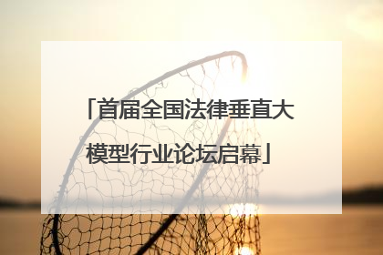 首届全国法律垂直大模型行业论坛启幕