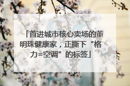 首进城市核心卖场的董明珠健康家，正撕下“格力=空调”的标签