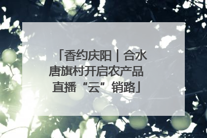 香约庆阳｜合水唐旗村开启农产品直播“云”销路