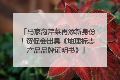 马家沟芹菜再添新身份！贸促会出具《地理标志产品品牌证明书》