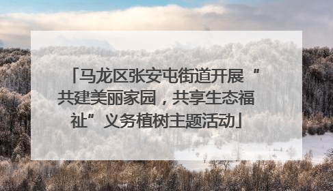 马龙区张安屯街道开展“共建美丽家园，共享生态福祉”义务植树主题活动