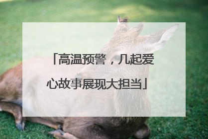 高温预警，几起爱心故事展现大担当