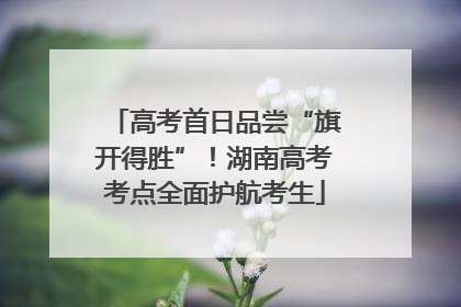 高考首日品尝“旗开得胜”！湖南高考考点全面护航考生