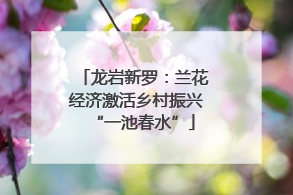 龙岩新罗：兰花经济激活乡村振兴“一池春水”